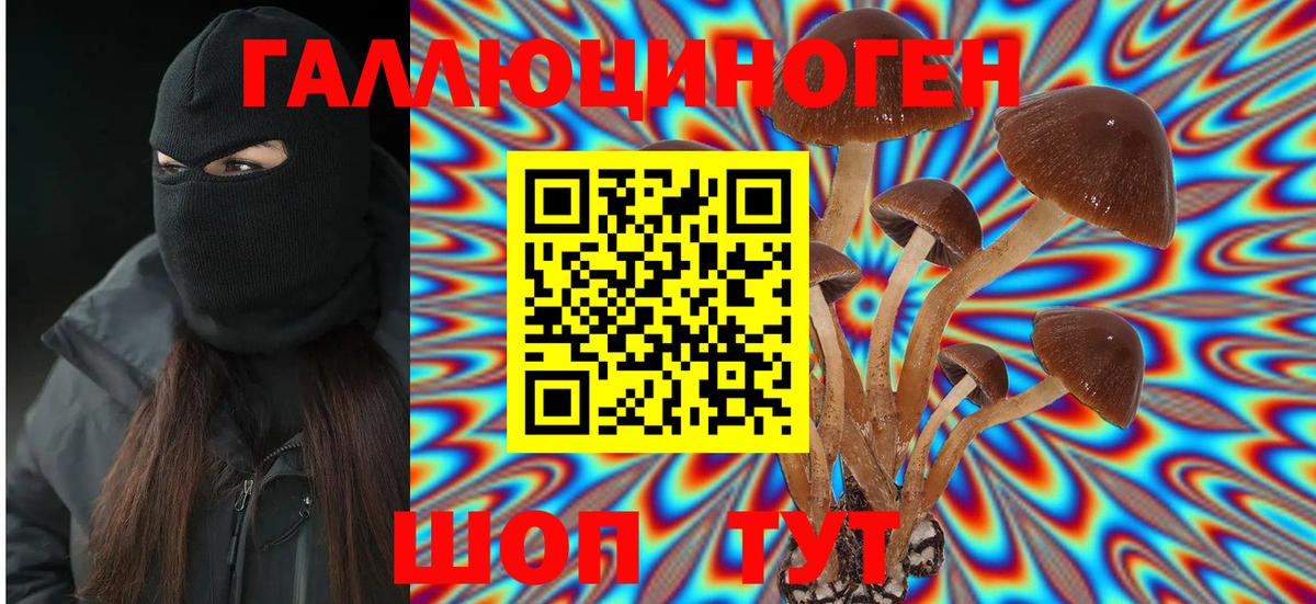 Псилоцибиновые грибы мицелий  Вход с VPN  Югорск 
